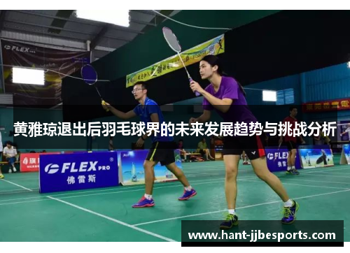 黄雅琼退出后羽毛球界的未来发展趋势与挑战分析