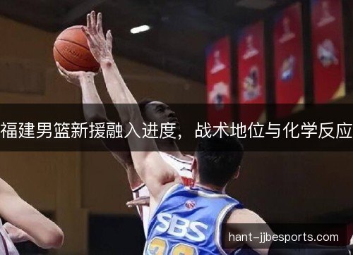 福建男篮新援融入进度，战术地位与化学反应